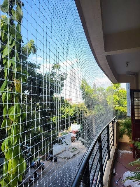 Anti Bird Nets Chennai